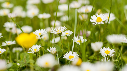 The Spring Cleaning Checklist You Didn’t Know You Needed (But Will Love!)
