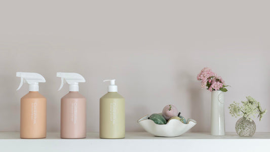 spring-cleaning-guide-colt-and-willow.jpg