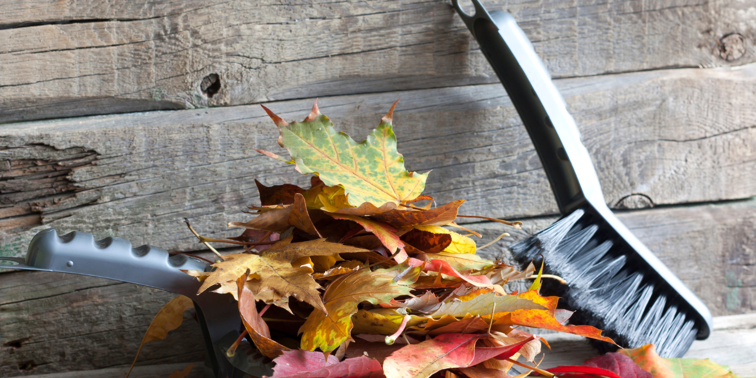 How to get your home ready for autumn